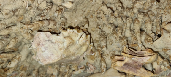 WhatsApp Image 2022-12-08 at 19.05.23