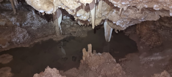 WhatsApp Image 2022-12-08 at 19.06.34