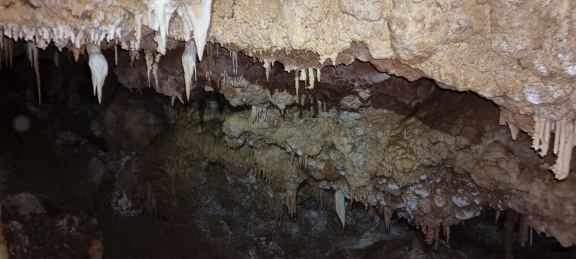 WhatsApp Image 2022-12-08 at 19.06.36