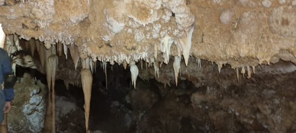 WhatsApp Image 2022-12-08 at 19.06.45