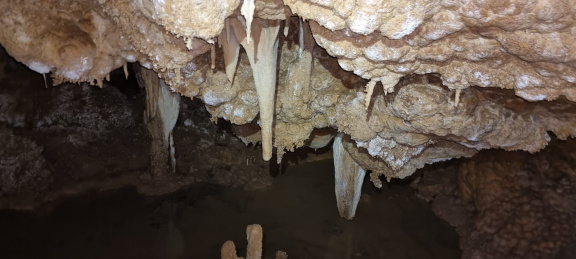 WhatsApp Image 2022-12-08 at 19.06.54