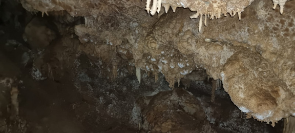 WhatsApp Image 2022-12-08 at 19.06.55