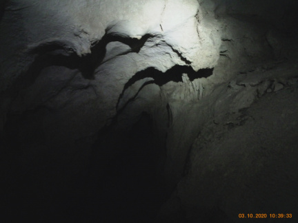 IMG201003-103933F