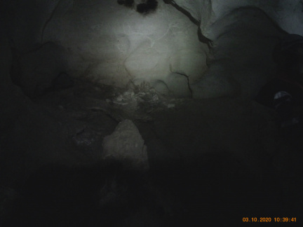 IMG201003-103941F