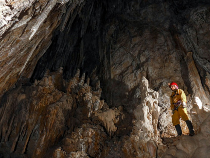 cabra autor treviño3